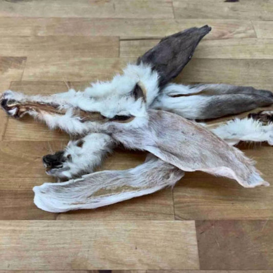 Konijnenoren met vacht