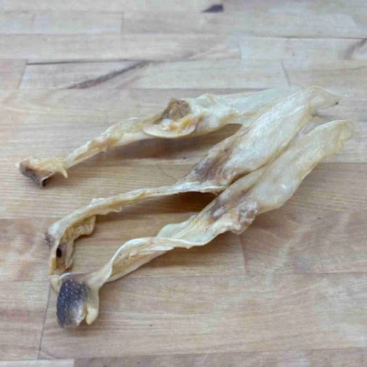 Konijnenoren zonder vacht